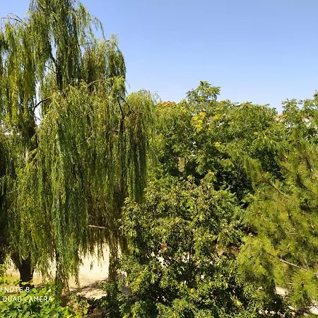 Morfili Villa Limenaria  Buitenkant foto