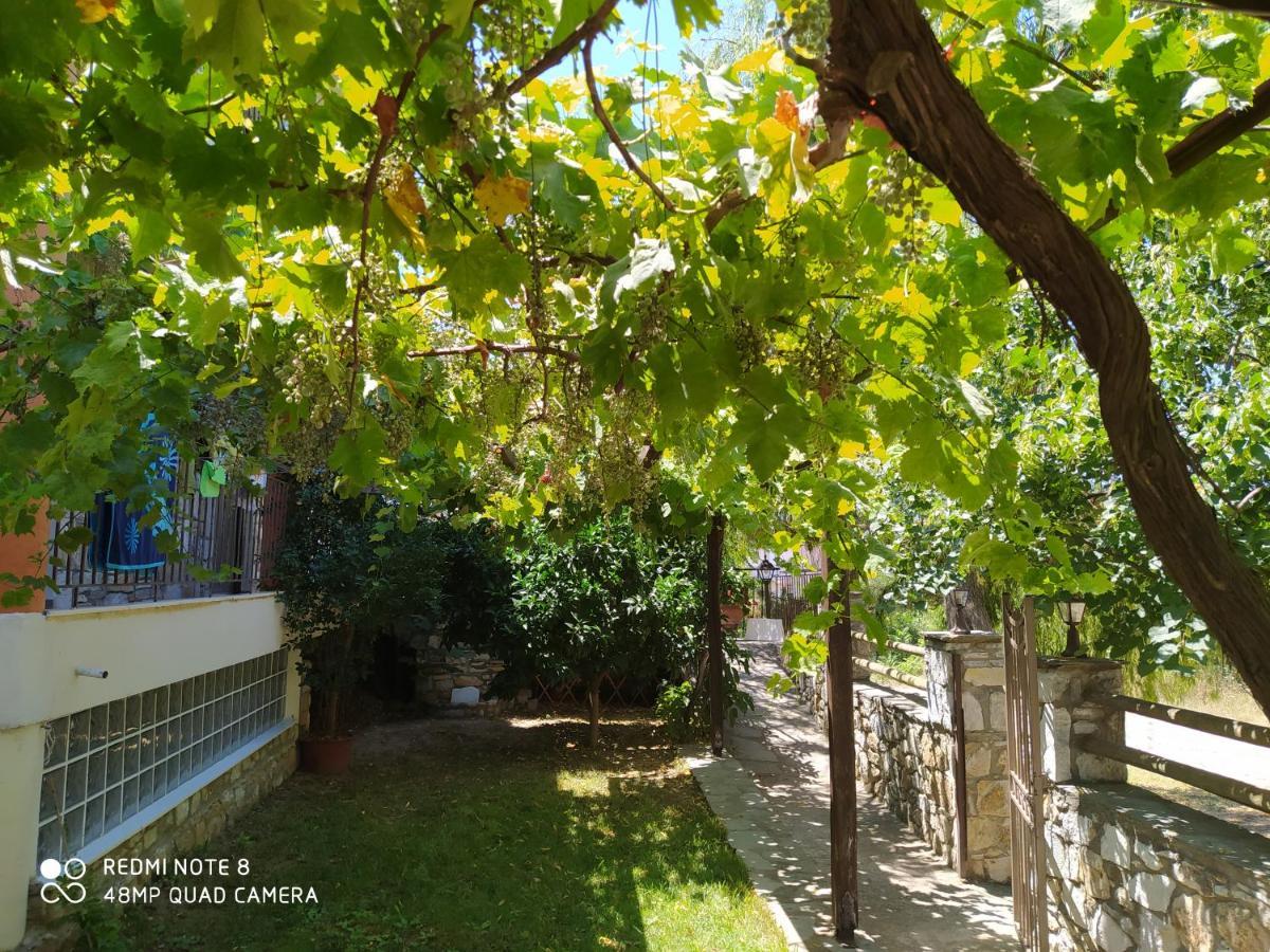 Morfili * Limenaria (Thasos)