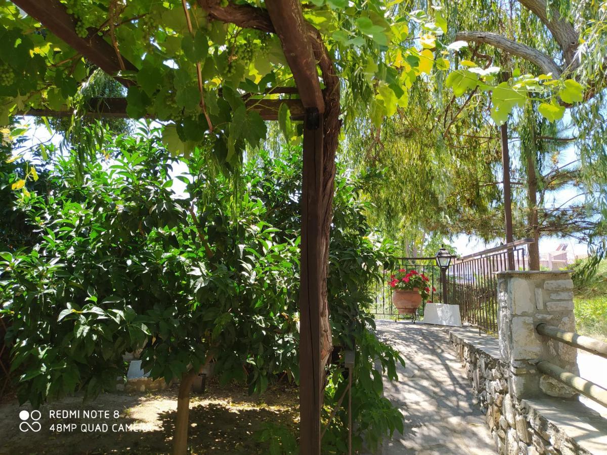 Morfili * Limenaria (Thasos)