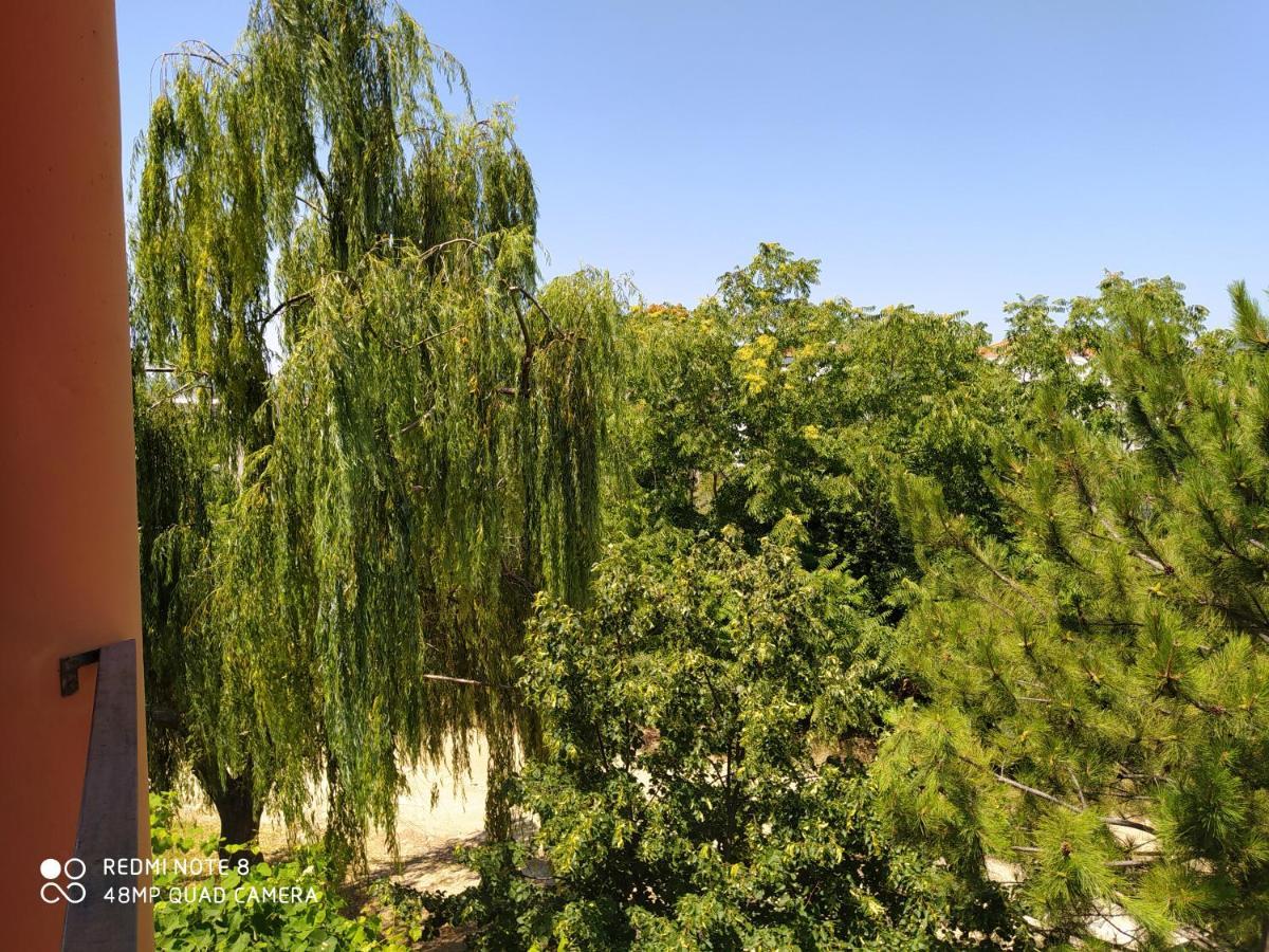 Morfili Apartment Limenaria (Thasos)